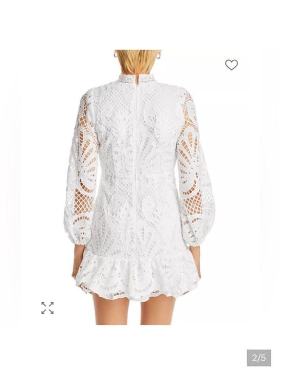 Dresses & Skirts - White Lace Long-Sleeve Mini Dress - Elegant Crochet Detail